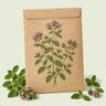 Kraft seed packet illustrated with Common Oregano, with fresh Common Oregano beside it