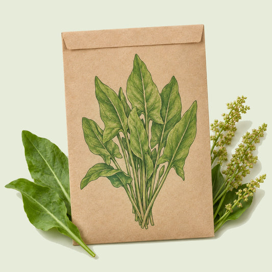 Kraft seed packet illustrated with Common Sorrel, with fresh Common Sorrel beside it