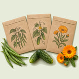 Kraft seed packet illustrated with Container Garden Seed Bundle, with fresh Container Garden Seed Bundle beside it