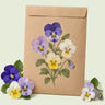 Kraft seed packet illustrated with Cool Summer Breeze Viola, with fresh Cool Summer Breeze Viola beside it