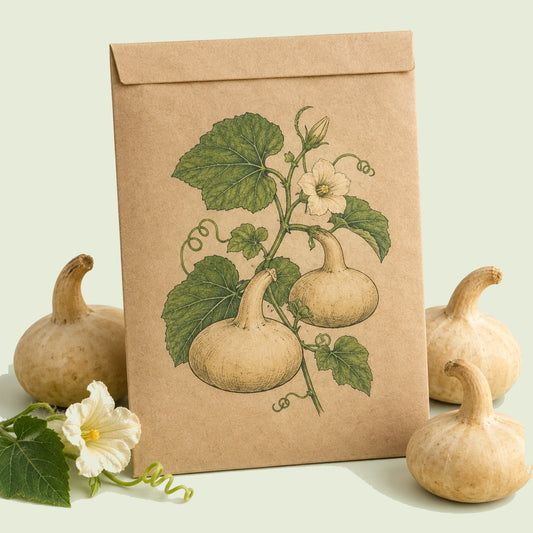 Kraft seed packet illustrated with Corsican Hard-Shelled Gourd, with fresh Corsican Hard-Shelled Gourd beside it