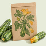 Kraft seed packet illustrated with Costata Romanesco Summer Squash, with fresh Costata Romanesco Summer Squash beside it