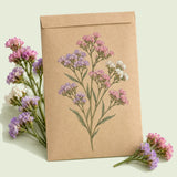 Kraft seed packet illustrated with Cotton Candy Blend Statice, with fresh Cotton Candy Blend Statice beside it