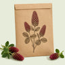 Kraft seed packet illustrated with Crimson Clover Cover Crop, with fresh Crimson Clover Cover Crop beside it