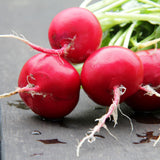Crimson Giant Radish growing in a garden