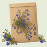 Kraft seed packet illustrated with Crystal Palace Lobelia, with fresh Crystal Palace Lobelia beside it