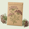 Kraft seed packet illustrated with Dara Ammi, with fresh Dara Ammi beside it