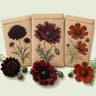 Kraft seed packet illustrated with Dark Flower Garden Seed Bundle, with fresh Dark Flower Garden Seed Bundle beside it