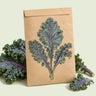 Kraft seed packet illustrated with Dazzling Blue Kale, with fresh Dazzling Blue Kale beside it