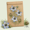 Kraft seed packet illustrated with Delft Blue Love In A Mist, with fresh Delft Blue Love In A Mist beside it