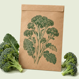 Kraft seed packet illustrated with Di Cicco Broccoli, with fresh Di Cicco Broccoli beside it