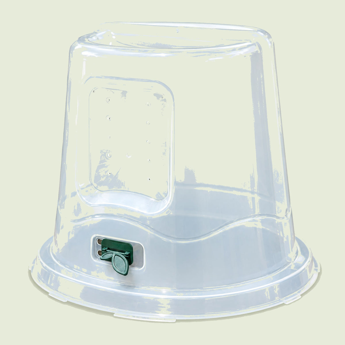 Dome Cloche Kit on a soft green background