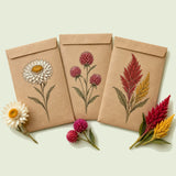 Kraft seed packet illustrated with Dried Flower Garden Seed Bundle, with fresh Dried Flower Garden Seed Bundle beside it
