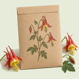 Kraft seed packet illustrated with Eastern Red Columbine, with fresh Eastern Red Columbine beside it