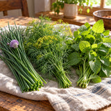 Easy Kitchen Herb Seed Bundle harvest up close
