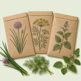 Kraft seed packet illustrated with Kitchen Herb Seed Bundle, with fresh Kitchen Herb Seed Bundle beside it