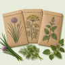 Kraft seed packet illustrated with Kitchen Herb Seed Bundle, with fresh Kitchen Herb Seed Bundle beside it