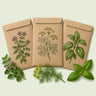 Kraft seed packet illustrated with Easygoing Herb Seed Pack, with fresh Easygoing Herb Seed Pack beside it