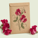 Kraft seed packet illustrated with Elegance Lipstick Sweet Pea, with fresh Elegance Lipstick Sweet Pea beside it