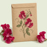 Kraft seed packet illustrated with Elegance Lipstick Sweet Pea, with fresh Elegance Lipstick Sweet Pea beside it