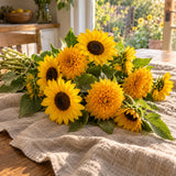 Elves Blend Dwarf Sunflower Seeds harvest up close