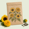 Kraft seed packet illustrated with Elves Blend Dwarf Sunflower, with fresh Elves Blend Dwarf Sunflower beside it