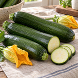 Emerald Delight Summer Squash Seeds harvest up close