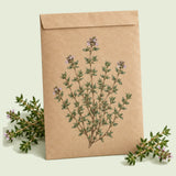 Kraft seed packet illustrated with English Thyme, with fresh English Thyme beside it