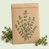 Kraft seed packet illustrated with English Thyme, with fresh English Thyme beside it