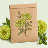 Kraft seed packet illustrated with Envy Zinnia, with fresh Envy Zinnia beside it