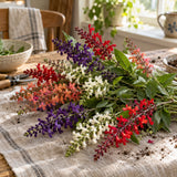 Estella Blend Salvia Seeds harvest up close