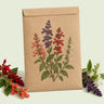 Kraft seed packet illustrated with Estella Blend Salvia, with fresh Estella Blend Salvia beside it