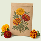 Kraft seed packet illustrated with Favourite Blend French Marigold, with fresh Favourite Blend French Marigold beside it