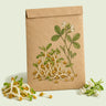 Kraft seed packet illustrated with Fenugreek Sprouts, with fresh Fenugreek Sprouts beside it