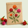 Kraft seed packet illustrated with Fiery Sunrise Gomphrena Blend, with fresh Fiery Sunrise Gomphrena Blend beside it