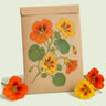 Kraft seed packet illustrated with Fiesta Blend Nasturtium Seed Shaker, with fresh Fiesta Blend Nasturtium Seed Shaker beside it