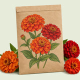 Kraft seed packet illustrated with Fireball Blend Zinnia, with fresh Fireball Blend Zinnia beside it