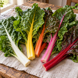 Five Color Silverbeet Swiss Chard Seeds harvest up close