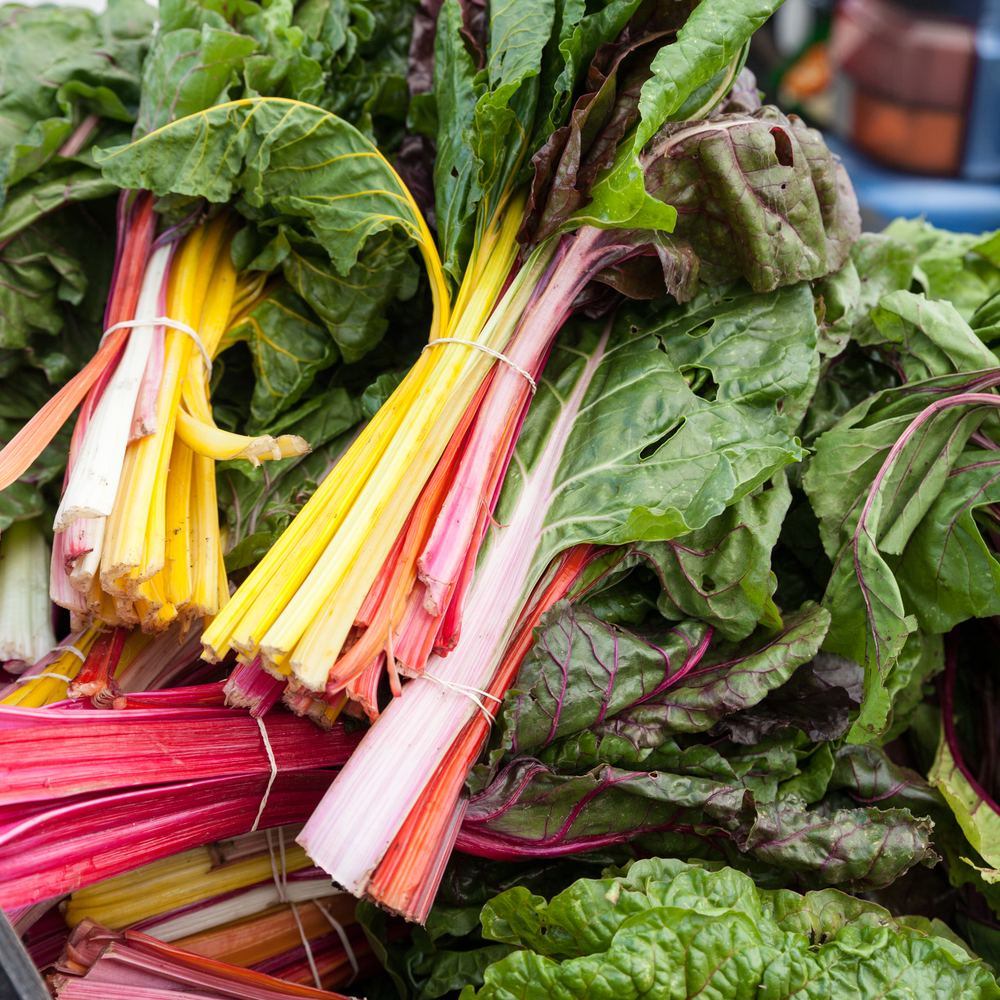 Five Color Silverbeet Swiss Chard growing in a garden