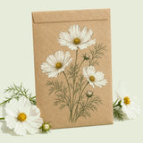 Kraft seed packet illustrated with Fizzy White Cosmos, with fresh Fizzy White Cosmos beside it