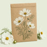 Kraft seed packet illustrated with Fizzy White Cosmos, with fresh Fizzy White Cosmos beside it
