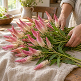 Flamingo Celosia Seeds harvest up close