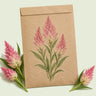 Kraft seed packet illustrated with Flamingo Celosia, with fresh Flamingo Celosia beside it