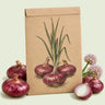 Kraft seed packet illustrated with Flat of Italy Bulb Cipollini Onion, with fresh Flat of Italy Bulb Cipollini Onion beside it
