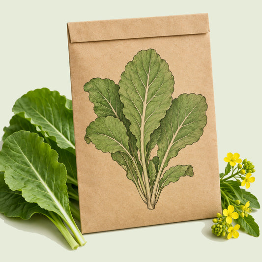 Kraft seed packet illustrated with Florida Broadleaf Mustard, with fresh Florida Broadleaf Mustard beside it