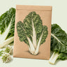 Kraft seed packet illustrated with Fordhook Giant Swiss Chard, with fresh Fordhook Giant Swiss Chard beside it