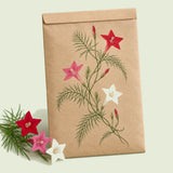 Kraft seed packet illustrated with Funny Valentine Blend Cypress Vine, with fresh Funny Valentine Blend Cypress Vine beside it
