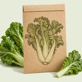 Kraft seed packet illustrated with Gai Choy Mustard, with fresh Gai Choy Mustard beside it