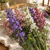 Galilee Blend Larkspur Seeds harvest up close