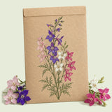 Kraft seed packet illustrated with Galilee Blend Larkspur, with fresh Galilee Blend Larkspur beside it